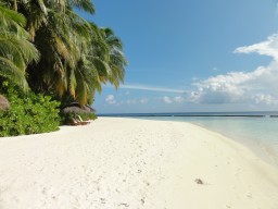 Traumhafte Kulisse - Erleben Sie auf einer der schönsten Inseln der Malediven absolute Traumferien.