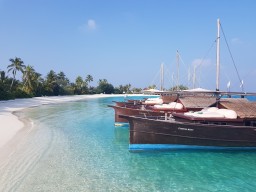 Safari Island - Dhoni Boote - Die speziell angebotenen Ausflüge (gratis) stehen allen Gästen zur Verfügung.
