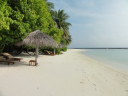 Traumhafte Kulisse - Erleben Sie auf einer der schönsten Inseln der Malediven absolute Traumferien.