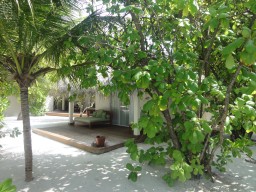 Die Beach- Villen sind eingebettet in eine wunderschöne Vegetation.