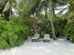 Jede Beach- Villa verfügt über zwei persönliche Strand- Sonnenliegen. 