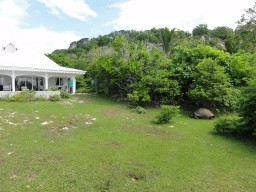 Land turtles - The giant turtles live free on the island and can be found very often directly in front of the villas.