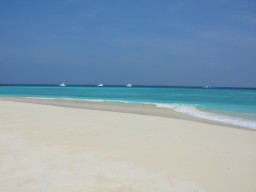 Traumhafte Strand- und Meerkulisse - Der malerische Strand rund um die Insel bietet einen atemberaubenden Blick auf den Indischen Ozean.