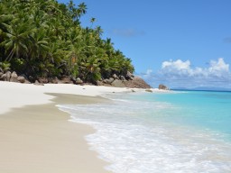 Anse Victorin - Malerische Traumstränder erwarten Sie auf dieser paradisischen Insel.