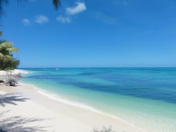 Dreamlike sandy beaches - Gorgeous beaches, which have to be shared only with a few other guests awaiting you on Denis Island.