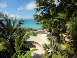 Bays - Beautiful little bays for some swimming and snorkeling