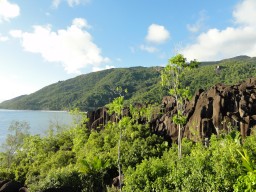 Tropischer Garten - Gehen Sie bei einer Wanderung auf Entdeckungstour!