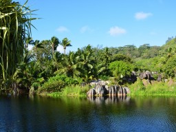 Green Garden - Relax in a perfect green garden.