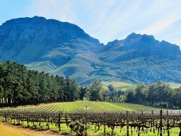 Stellenbosch - Explore many different wines from this region. 