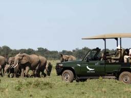 Game drives - Discover a wide range of different animals within on of the various Game drives.