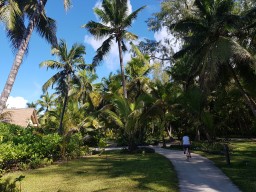Mit dem eigenen Fahrrad das Four Seasons Resort Seychelles at Desroches Island entdecken & erleben 