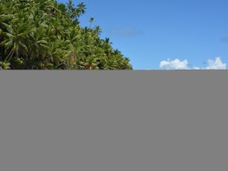 Anse Victorin - Malerische Traumstränder erwarten Sie auf dieser paradisischen Insel.