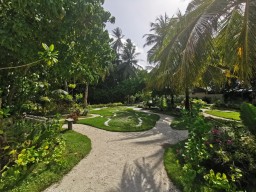 Meeru Island Garden Impressions