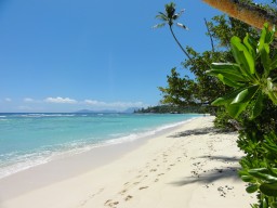 Silhouette Island - Gorgeous beach on Silhouette Island.