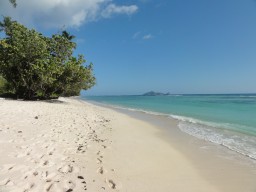 Strandleben - Erleben Sie einen wunderschönen weissen Sandstrand.