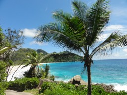 Lagoon Anse Intendance - View to the lagoon