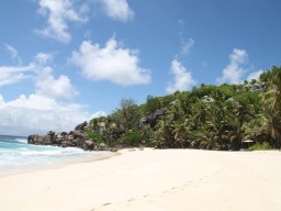 Anse Intendance - Geniessen sie den perfekten Sandstrand der Anse Intendance