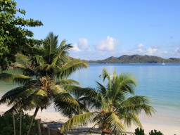 Strandblick - Blick auf den Strand