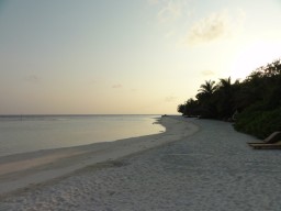 Idyllische Trauminsel - Entspannen Sie bei einem gemütlichen Spaziergang um die Insel oder geniessen sie die absolute Ruhe der Insel.