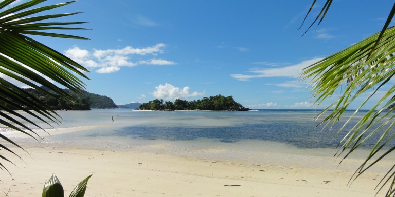 Beach life - Beach at the Constance Ephelia.