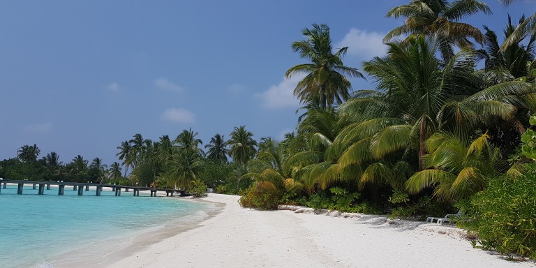 Safari Island - Beach view - Beautiful beach sections for relaxing