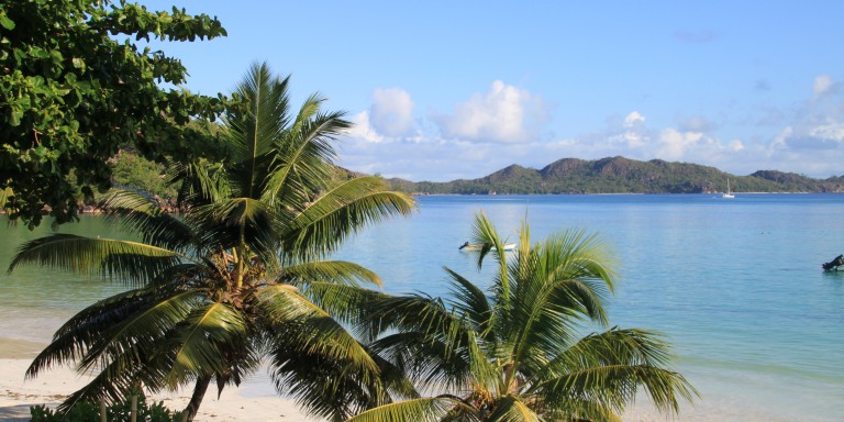 Ocean view - View to the beach